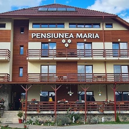 Pensiunea Maria Gilău Exterior foto